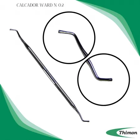 CALCADOR WARD N 02