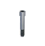 Parafuso da UCLA CM Co-Cr Alt 2.5MM