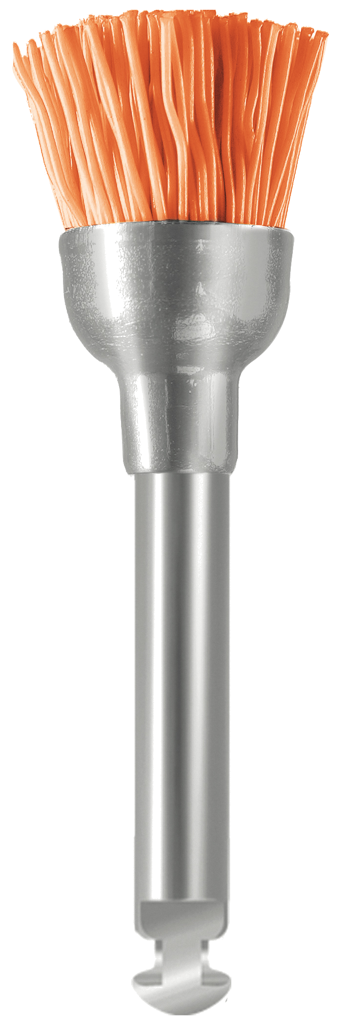 EVE Unibrush WTS – Taça, Supermacia (CA)